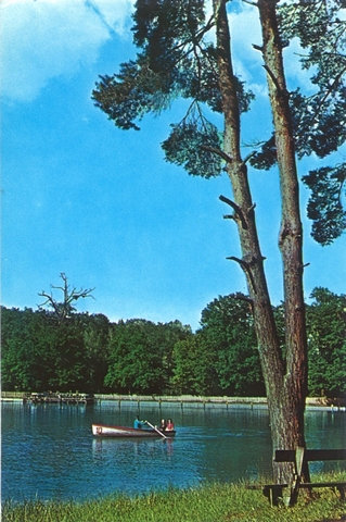 1739-1 - Sibiu. Lacul Dumbrava